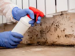 Best Commercial Mold Inspection  in Rochelle, GA